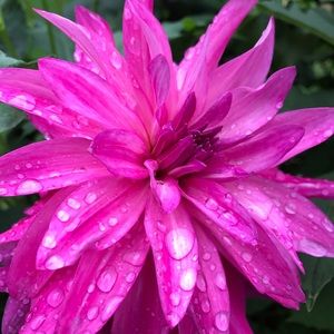 Meet your Posher, Judy